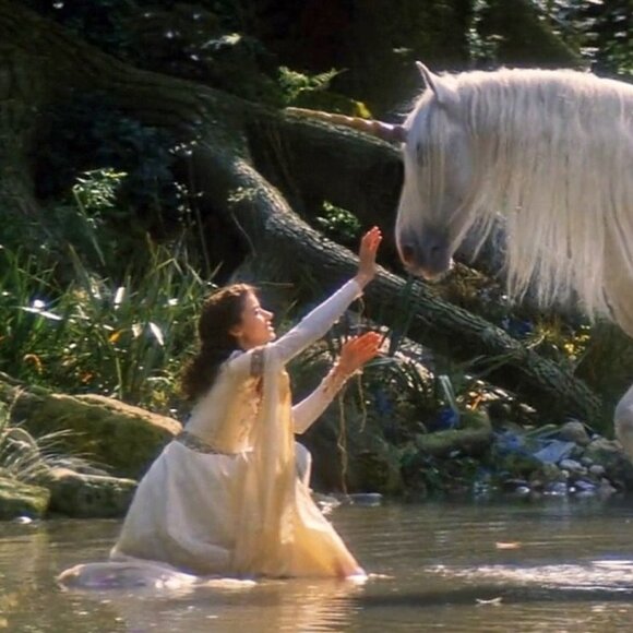 Meet Scottie - Picture 1 of 1